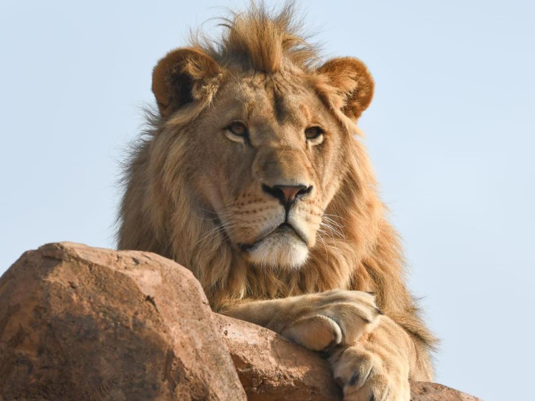 Lions View Accommodation Mbombela Esterno foto