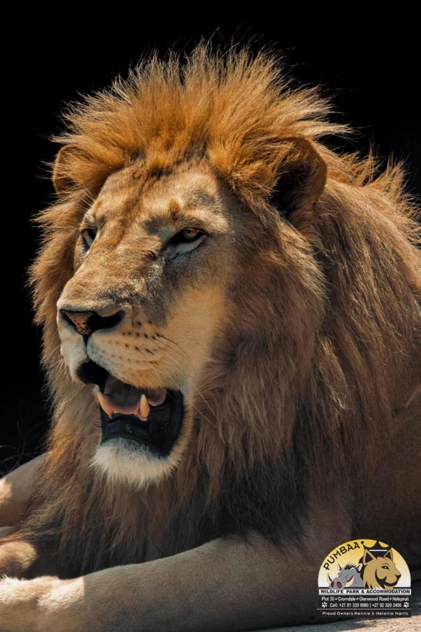 Lions View Accommodation Mbombela Esterno foto